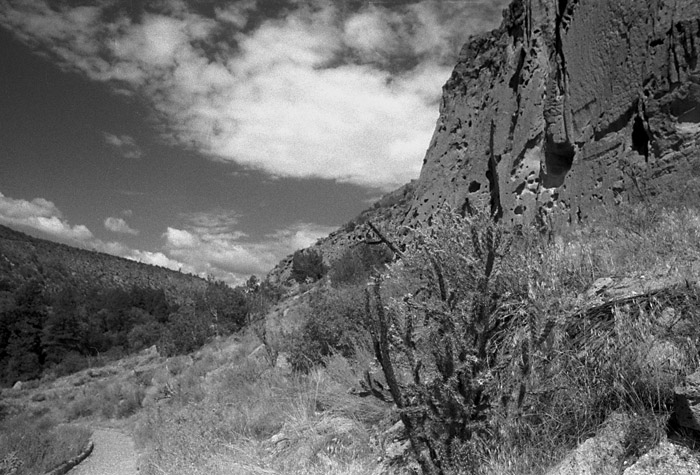 bandelier-bw3.jpg