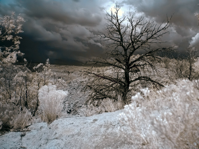 bandelier1.jpg