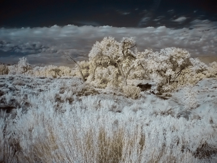 jemez2-yellow.jpg