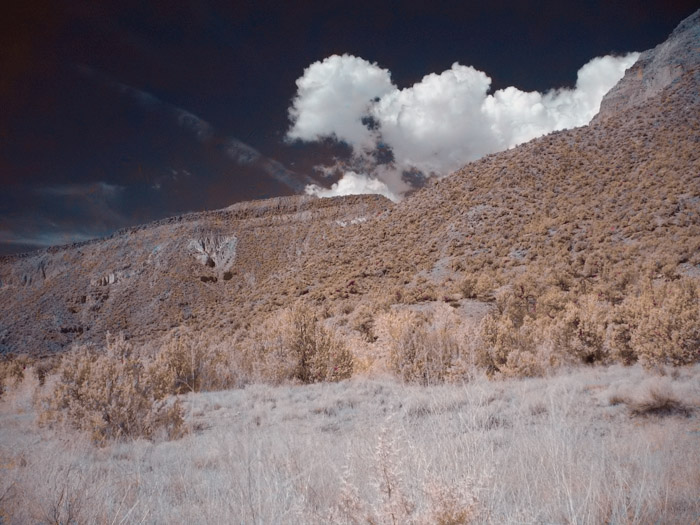 jemez4-yellow.jpg