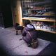 020710_holga_carrollgbakerydog_400H.jpg