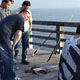 061209-pier-fish-crowd.jpg