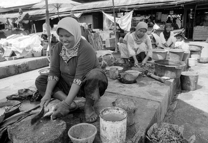 20100611_barabai_fishcutters_apx100.jpg