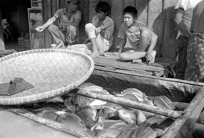 20100704_trip_rantepao_fishvendors_txD76.jpg