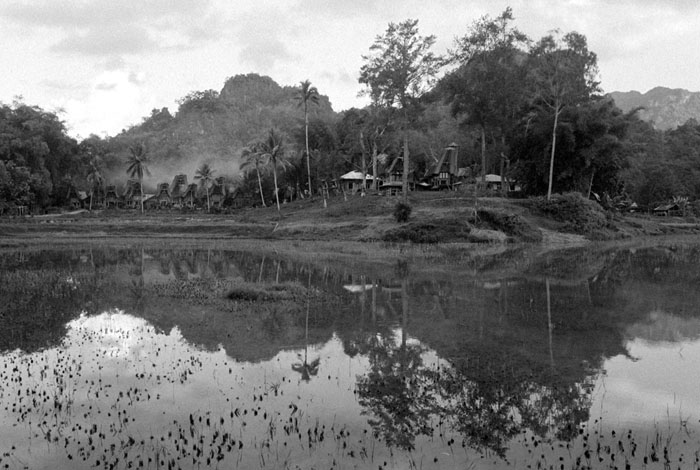 20100706_toraja_ketekesu_np1600xtol.jpg