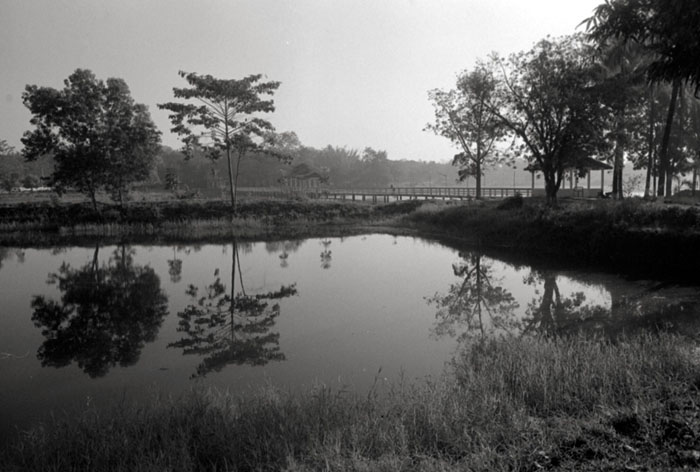 20110216_hpaan_lakereflect_pxD76.jpg