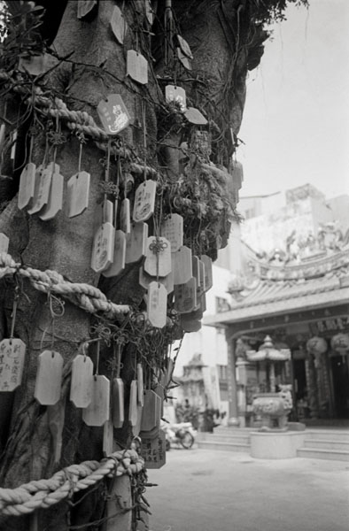 20110317_tainan_littletemple_txD76.jpg