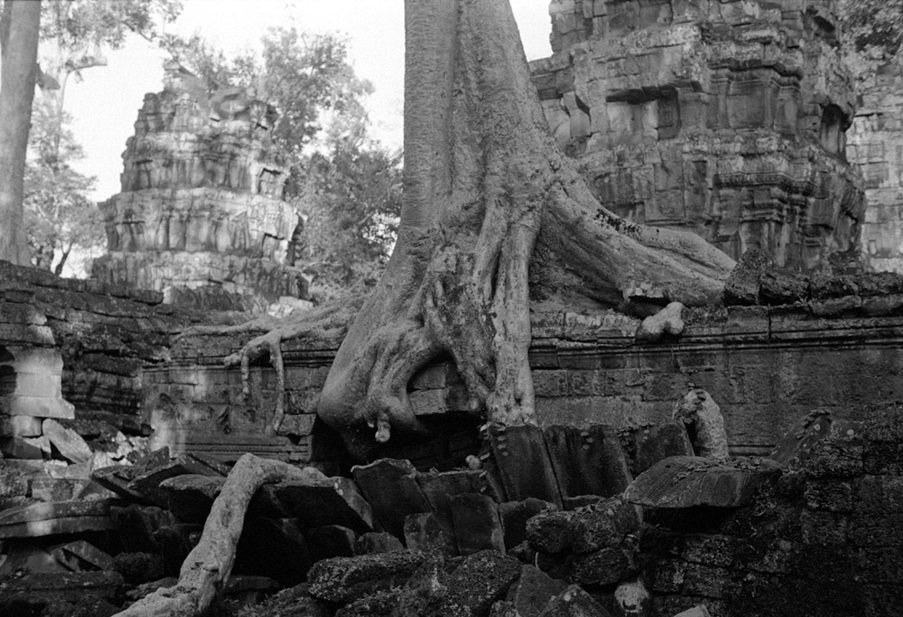 Ta Prohm