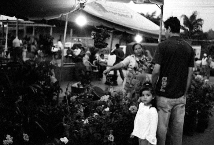 alegria3-trip-flowerstand-girl.jpg