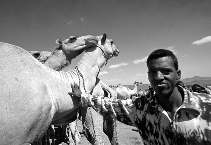 babile-camel-market.jpg