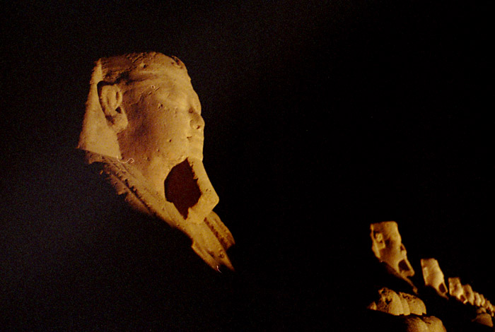 luxor-sphinxes-night.jpg