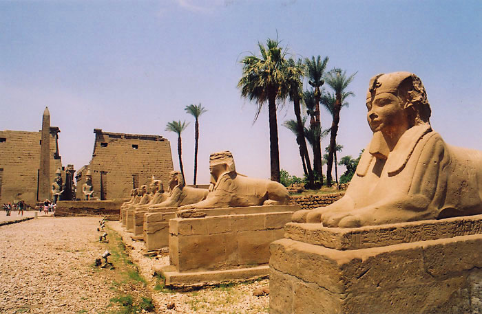 luxor-sphinxes.jpg