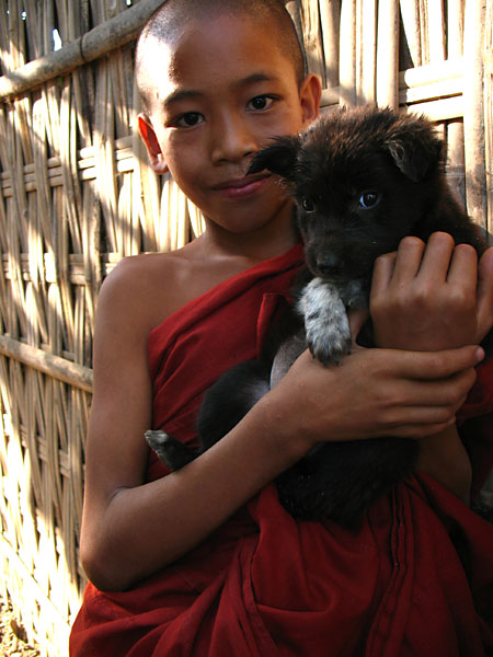 mrauk-monkpuppy.jpg