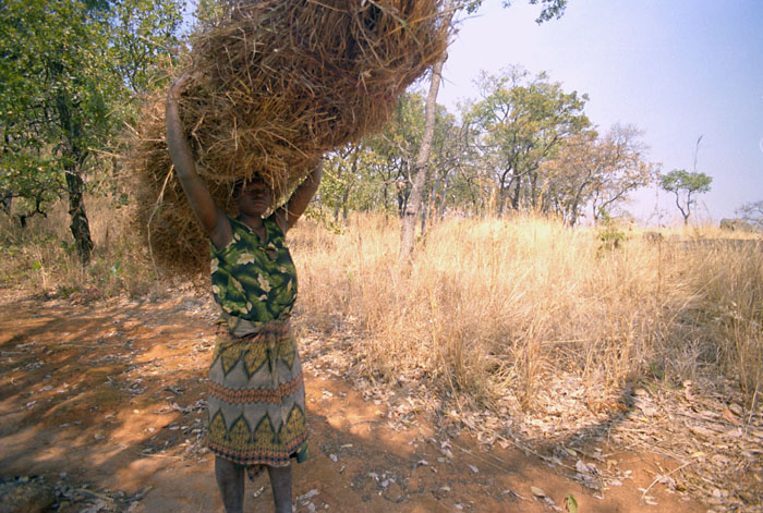 mulanje-straw.jpg