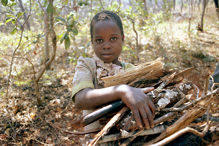 mulanje-woodgirl.jpg