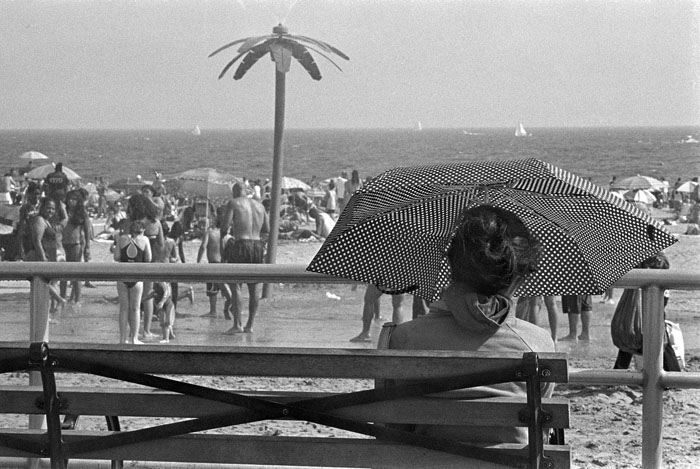 081509_coneybeach_palmtree_umbrella_trix.jpg