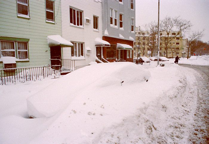 Snow day in Williamsburg