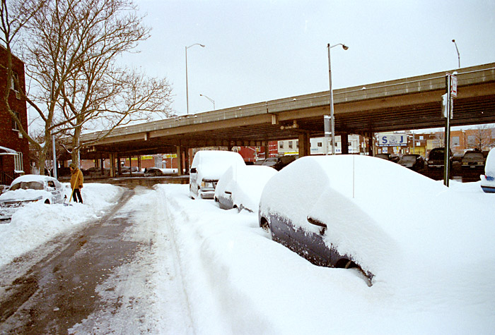 Snow day in Williamsburg