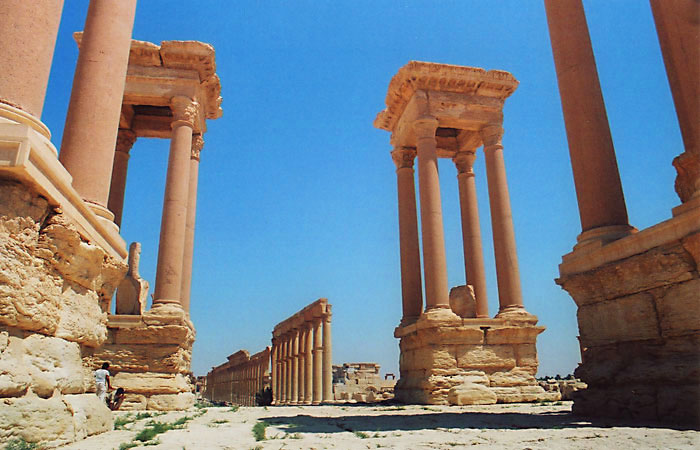 palmyra1.jpg