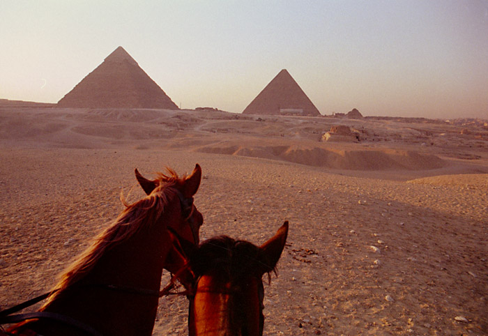 pyramids-horses.jpg