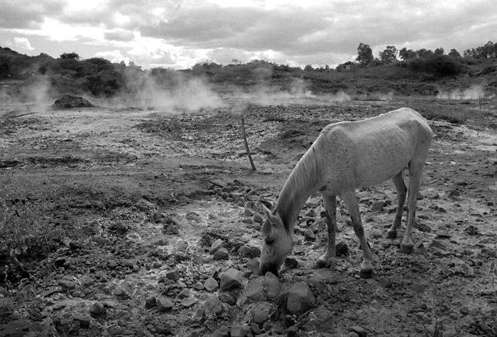 telicahike-mud-horse.jpg