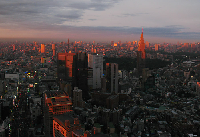 tokyo-parkhyatt_view1.jpg