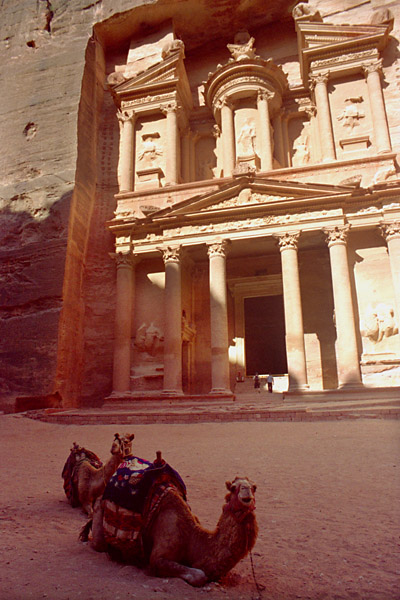 treasury-camel.jpg