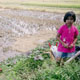 20100703_toraja_ricegirl_160S.jpg