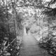 20100705_suspensionbridge_pxR09.jpg