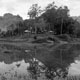 20100706_toraja_ketekesu_np1600xtol.jpg