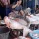 20100715_maesot_marketfish_400H.jpg