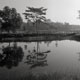 20110216_hpaan_lakereflect_pxD76.jpg