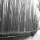 bambooforest1.jpg