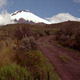 cotopaxi-drive.jpg