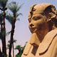 luxor-sphinxes.jpg