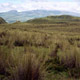 paramo.jpg