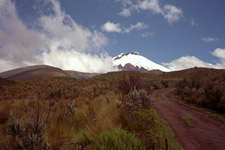 Cotopaxi